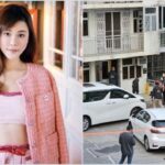 Jenazah Model Hong Kong Ditemukan Terpotong-potong dalam Kulkas, Dihabisi Gegara Uang Rp 260 Miliar