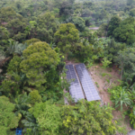 Ada PLTS Bukit Asam, Petani Tetap Garap Sawah Saat Kemarau Panjang
