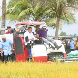 Lahan Cetak Sawah dan Panen Raya di Kabupaten Banyuasin