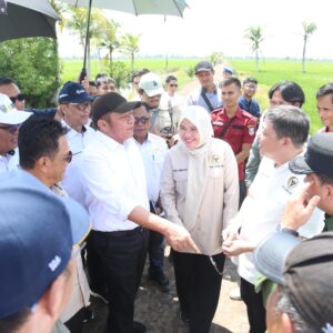 Gubernur Herman Deru Optimis Program OPLA Dongkrak Provinsi Sumsel ke Peringkat Tiga Penghasil Pangan Nasional